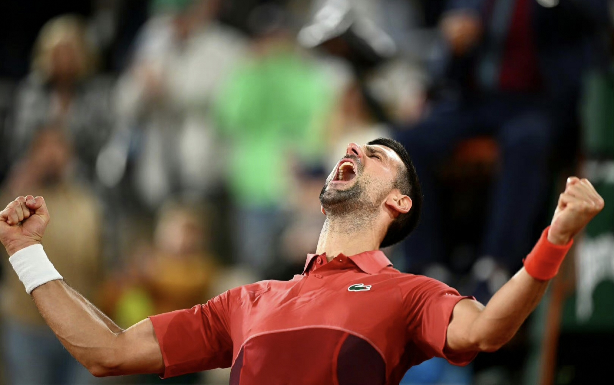 包含法网逆转戴维斯杯，德约科维奇状态火热的词条