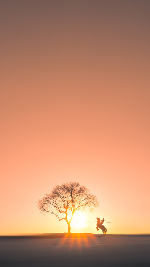 次元破壁！英格拉姆梦幻降临，独行侠降维打击横扫广厦