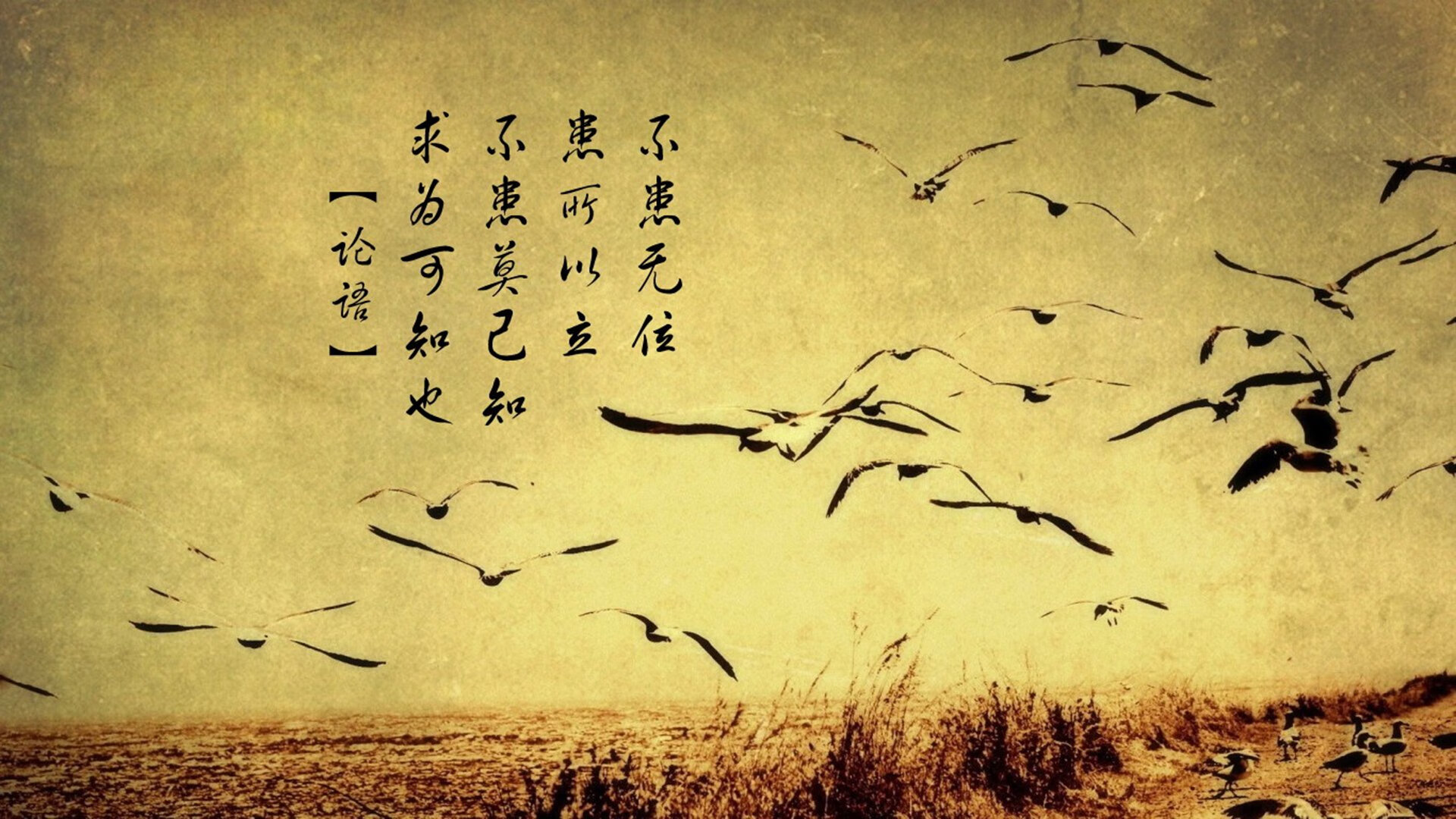 心魔退散，利刃出鞘，拉文关键战击碎掘金，书写生涯定义之夜