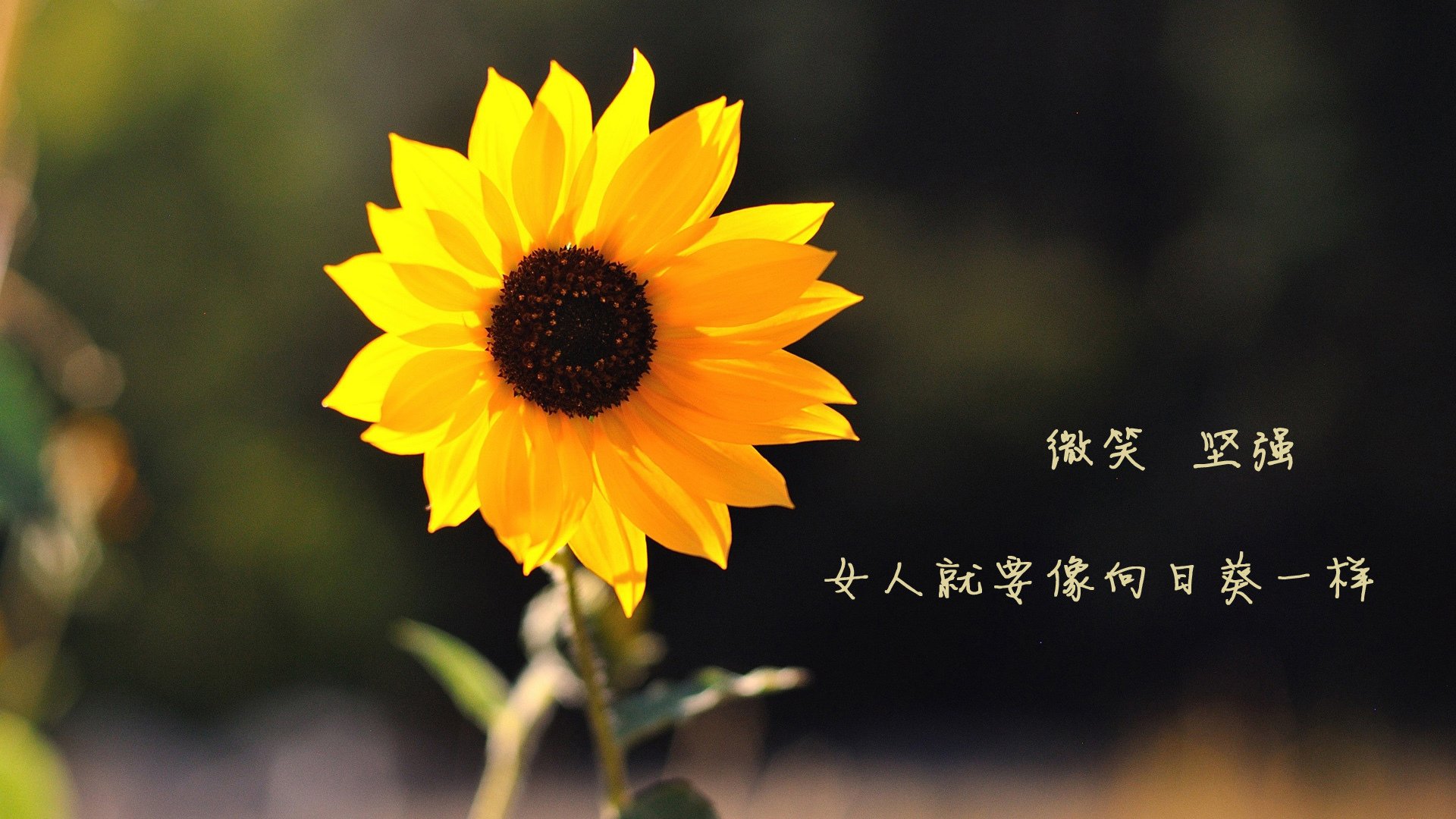 冷雨夜巨人苏醒，卡塞米罗一剑封喉，西班牙爆冷波兰震惊欧洲