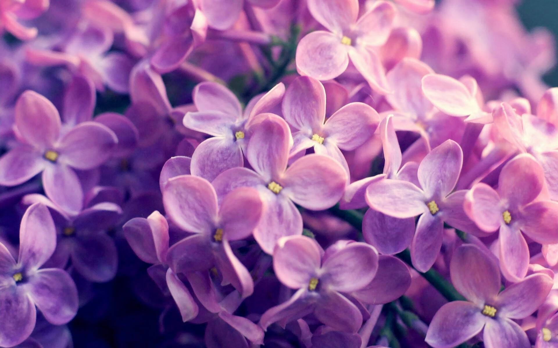 最后一刻的觉醒，从篮球场的逆转到足球场的统治