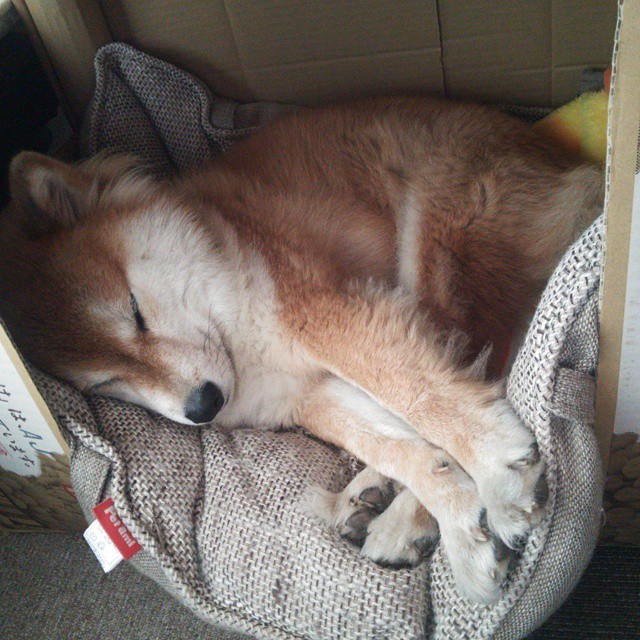 唯一而致命的漏洞，当勇士的强势遇见利拉德不手软的审判时刻