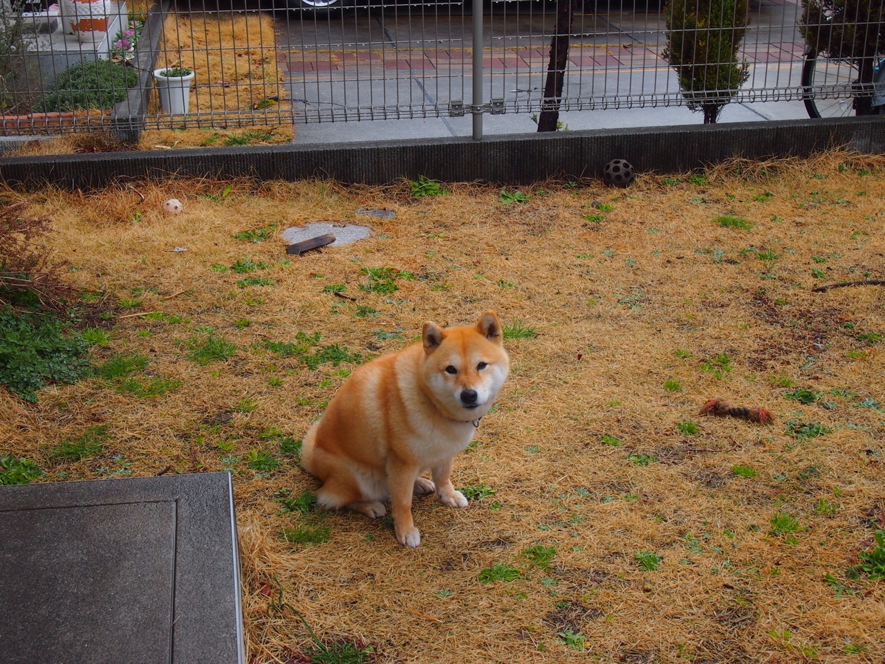 当蒸汽朋克机械钟遇上外科手术刀，德罗赞的旧时代技艺与湖人的精密切割