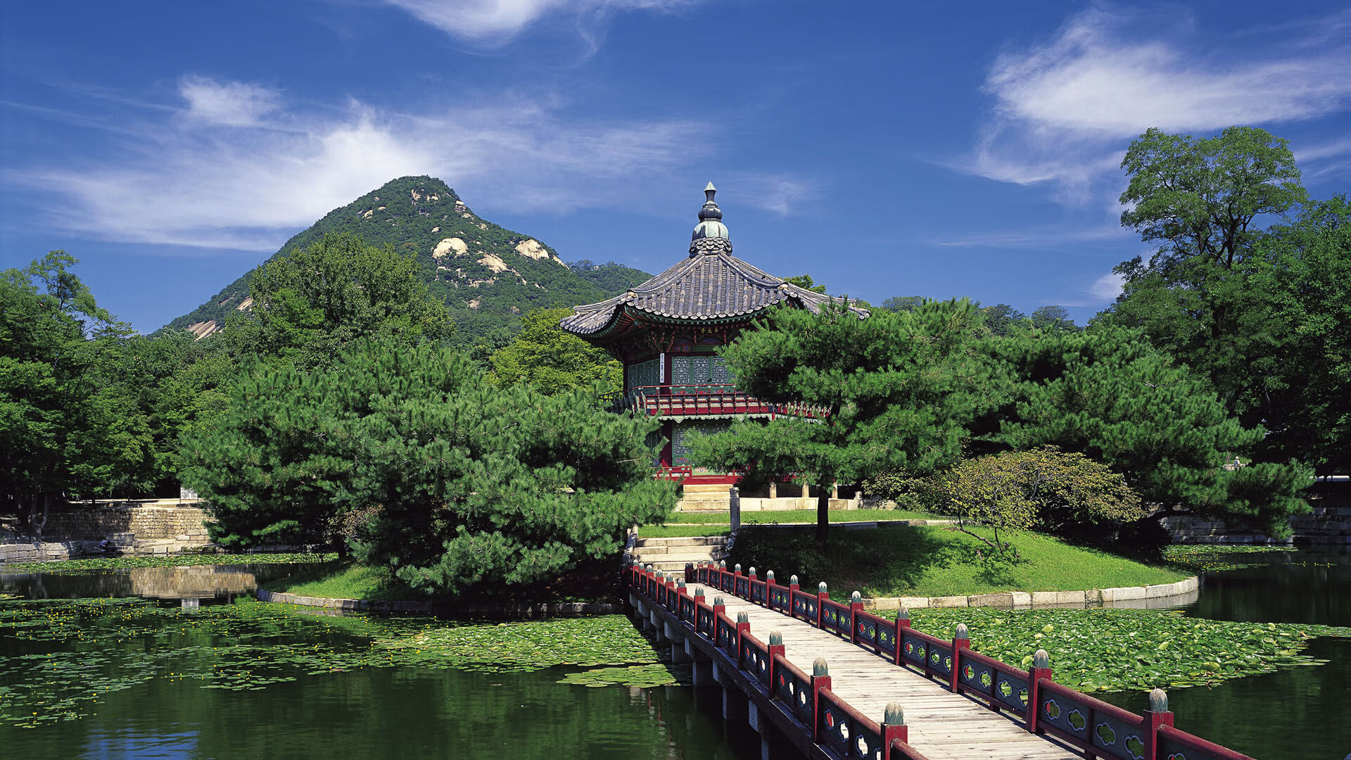 新王已立，当约基奇全程高能输出，灰熊单节拉开广东队的那一刻，篮球完成了无情交替