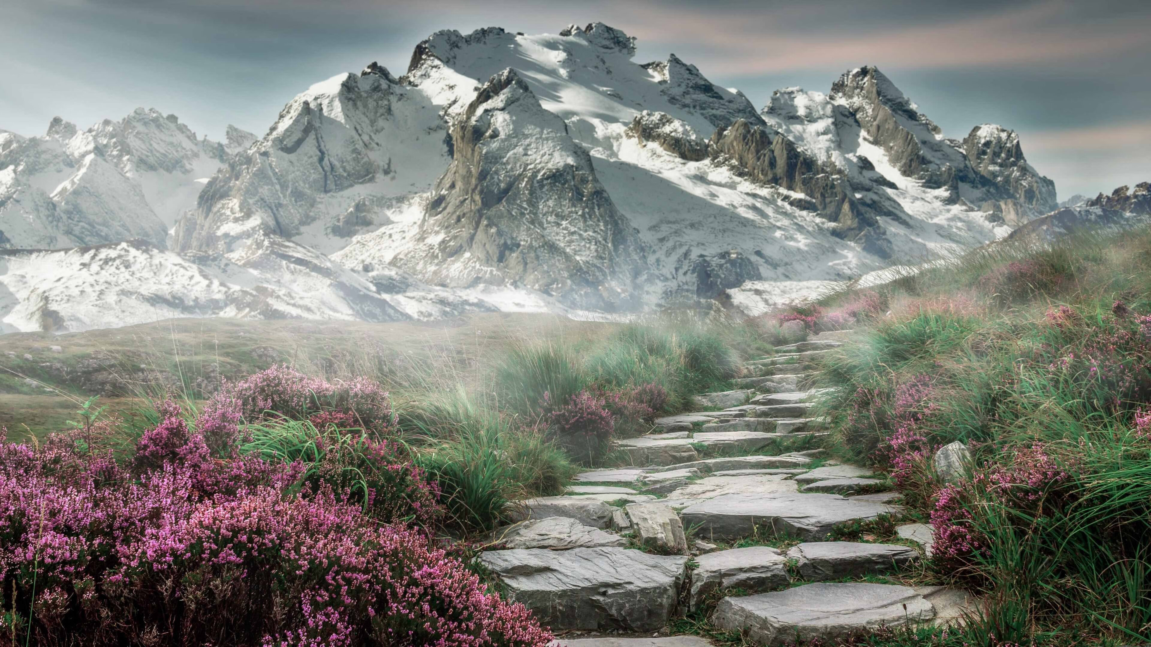 冷焰，米切尔与历史偏见的终极对峙