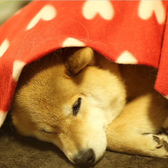 37.8，山西与勒布朗用同一组数字，在南北半球写下篮球的两种定义