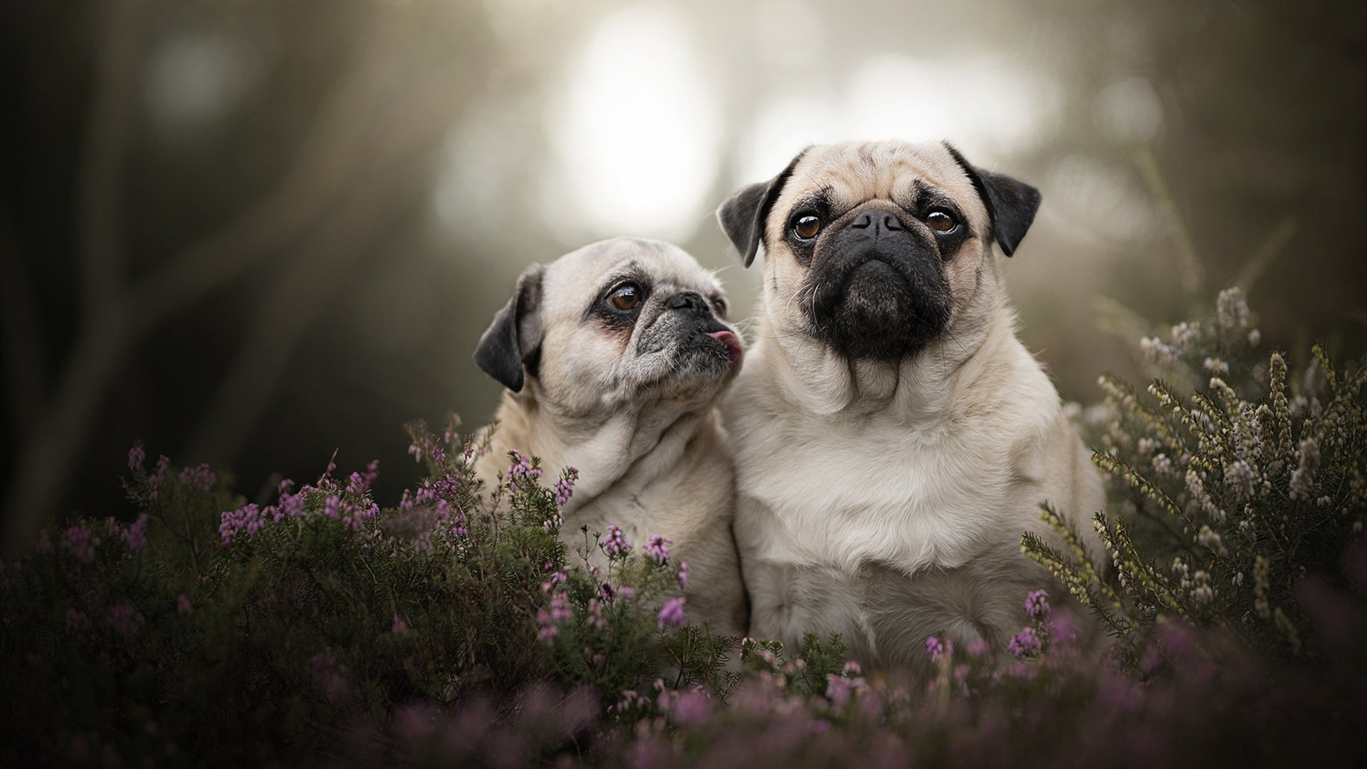 伊萨克历史性爆发，马德里竞技掀翻巴拉圭背后的唯一性解读