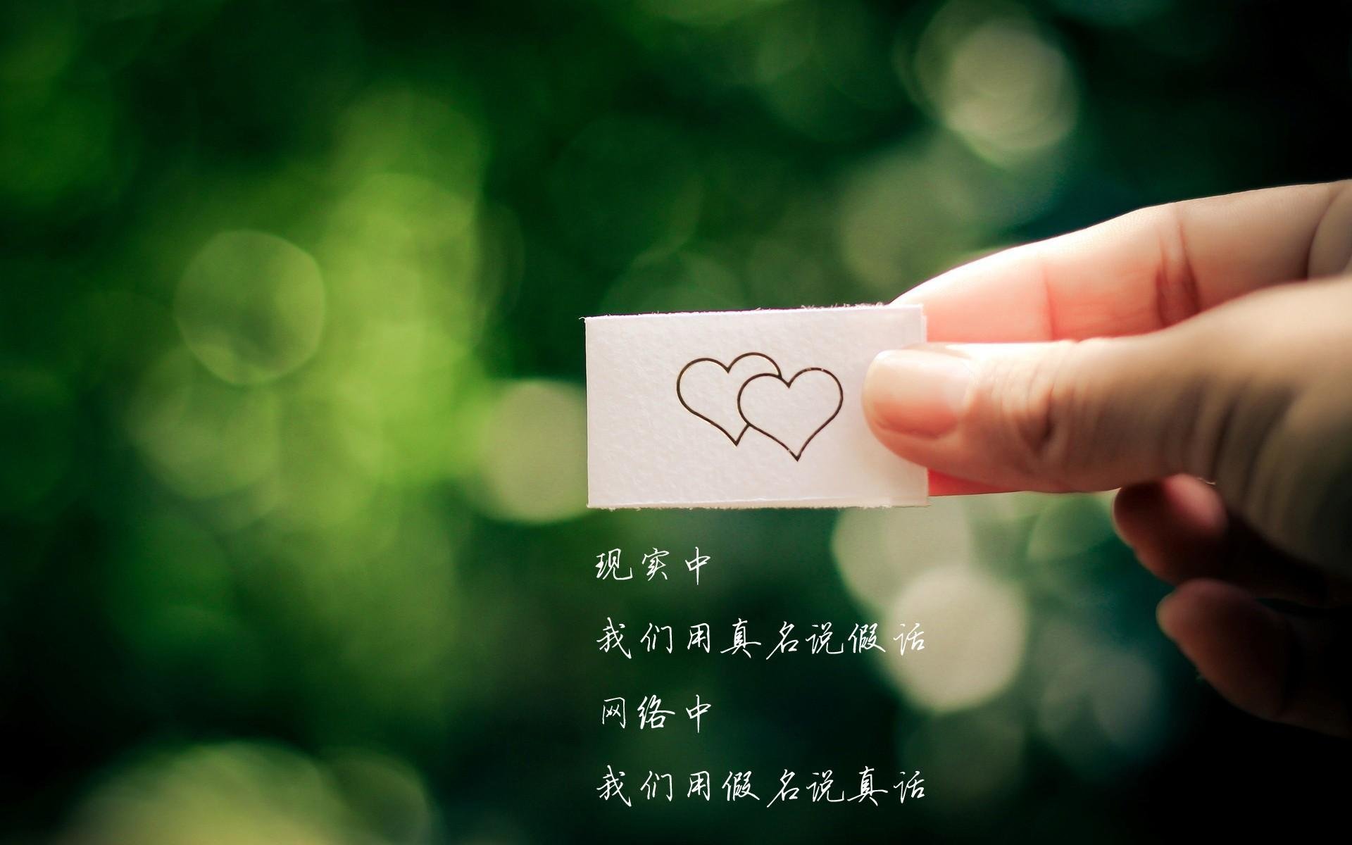 唯一性的战术密码,加维如何定义2026世界杯F组匈牙利与智利之战的胜负手